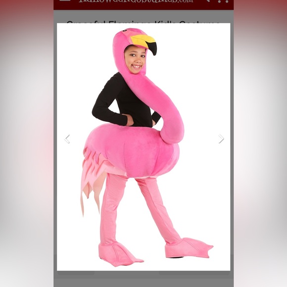 Halloween costume pink flamingo - Picture 1 of 5